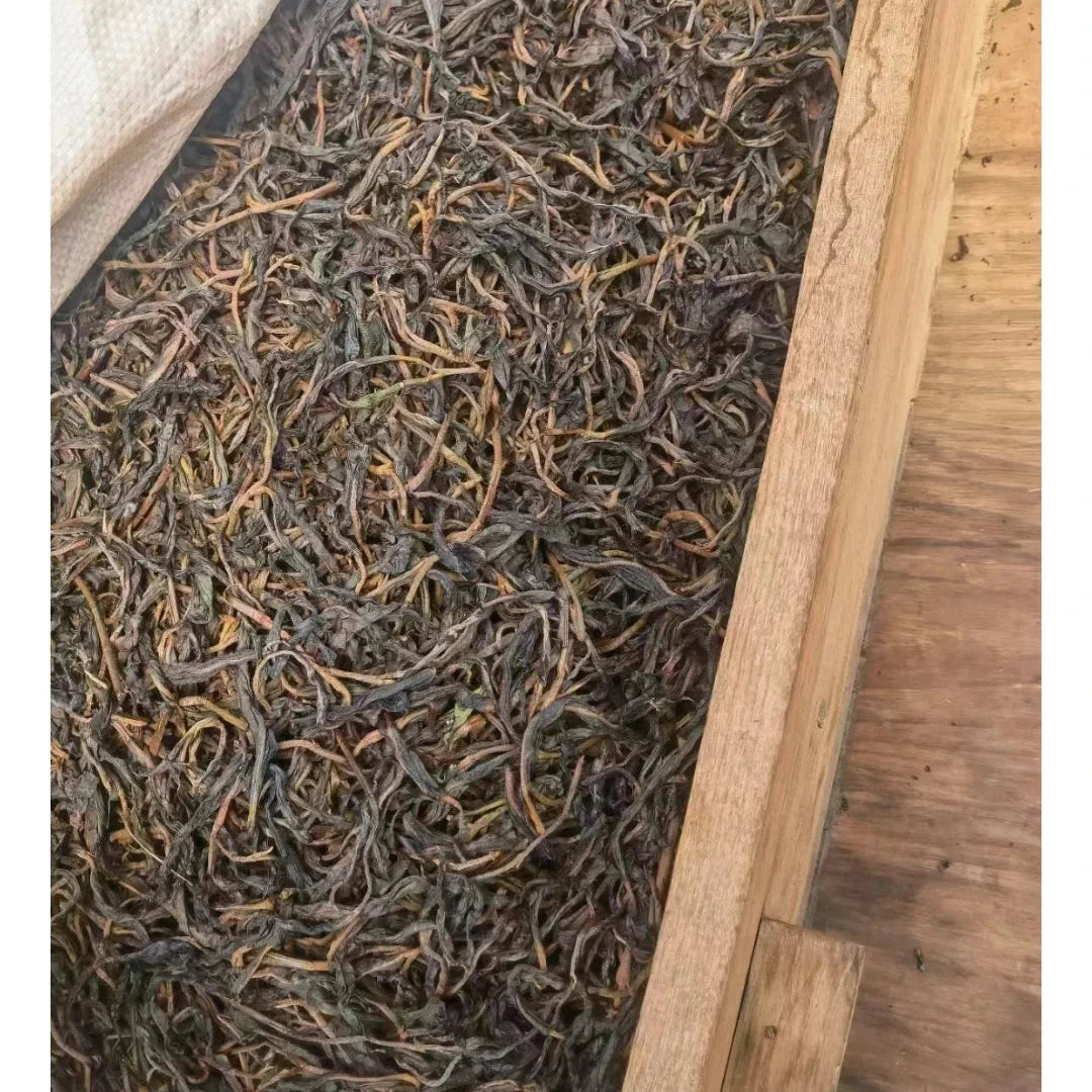 Bingdao Chanqu Gushu Black Tea