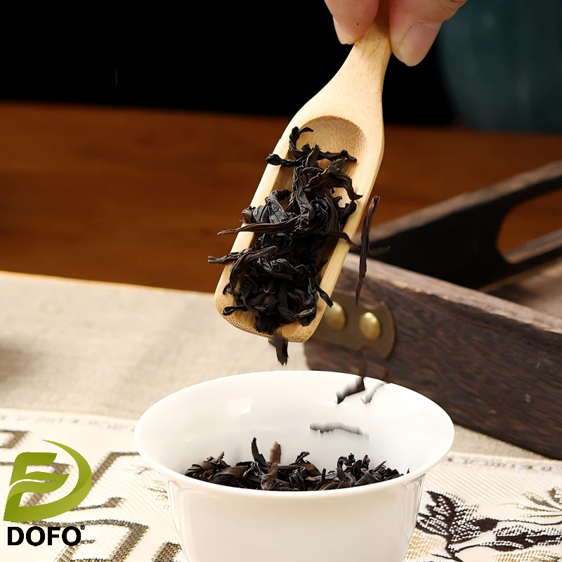 Floral Cinnamon Da Hong Pao Rock Oolong Tea12